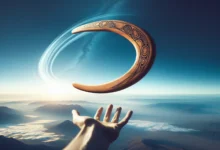 Come funziona un boomerang?