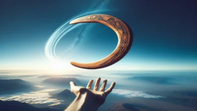Come funziona un boomerang?