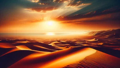 Cosa succede se si beve acqua salata?