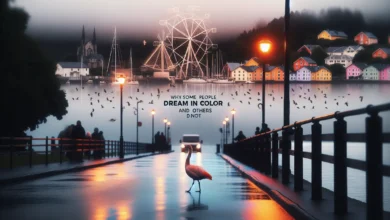 Perché alcune persone sognano a colori e altre no?