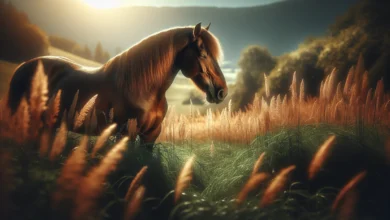 Perché i cavalli dormono in piedi?