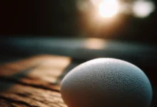 Perché le uova hanno il guscio poroso?