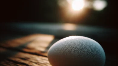 Perché le uova hanno il guscio poroso?