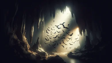 Come fanno i pipistrelli a volare al buio?